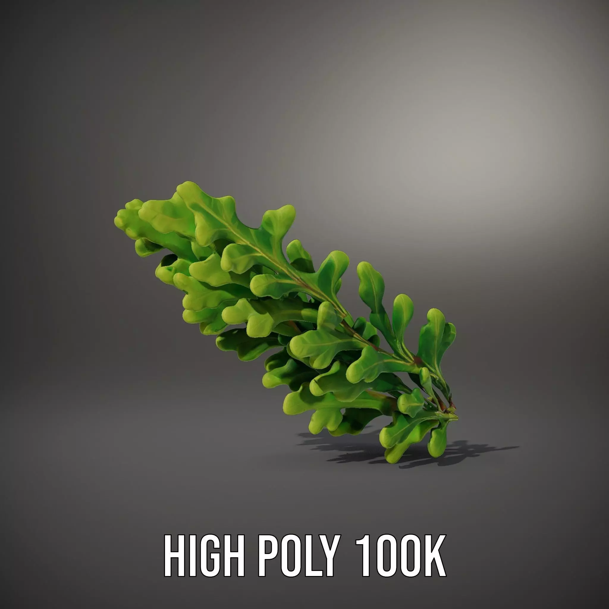 Green Oak Leaf model pack Low-poly 3D model_10