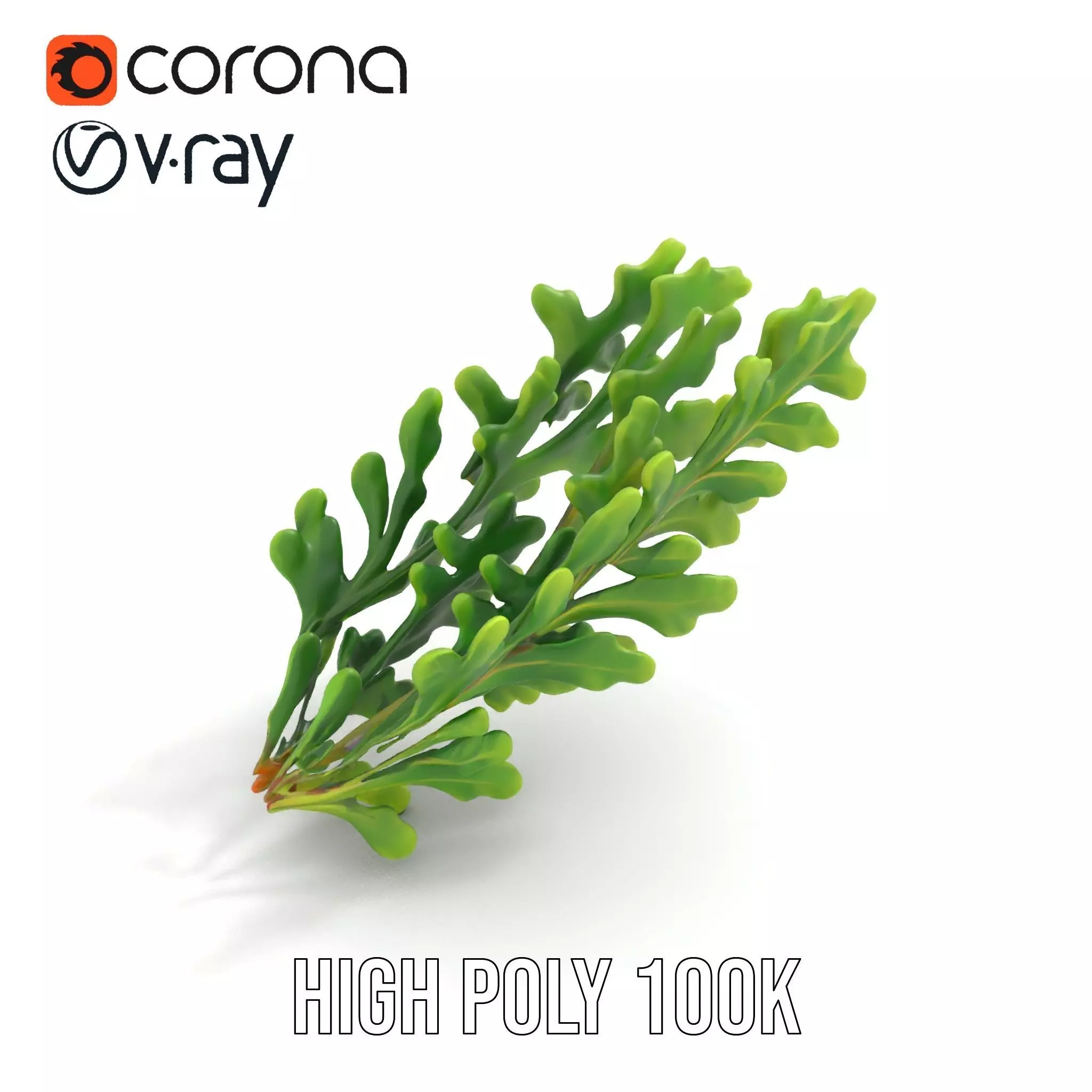Green Oak Leaf model pack Low-poly 3D model_23