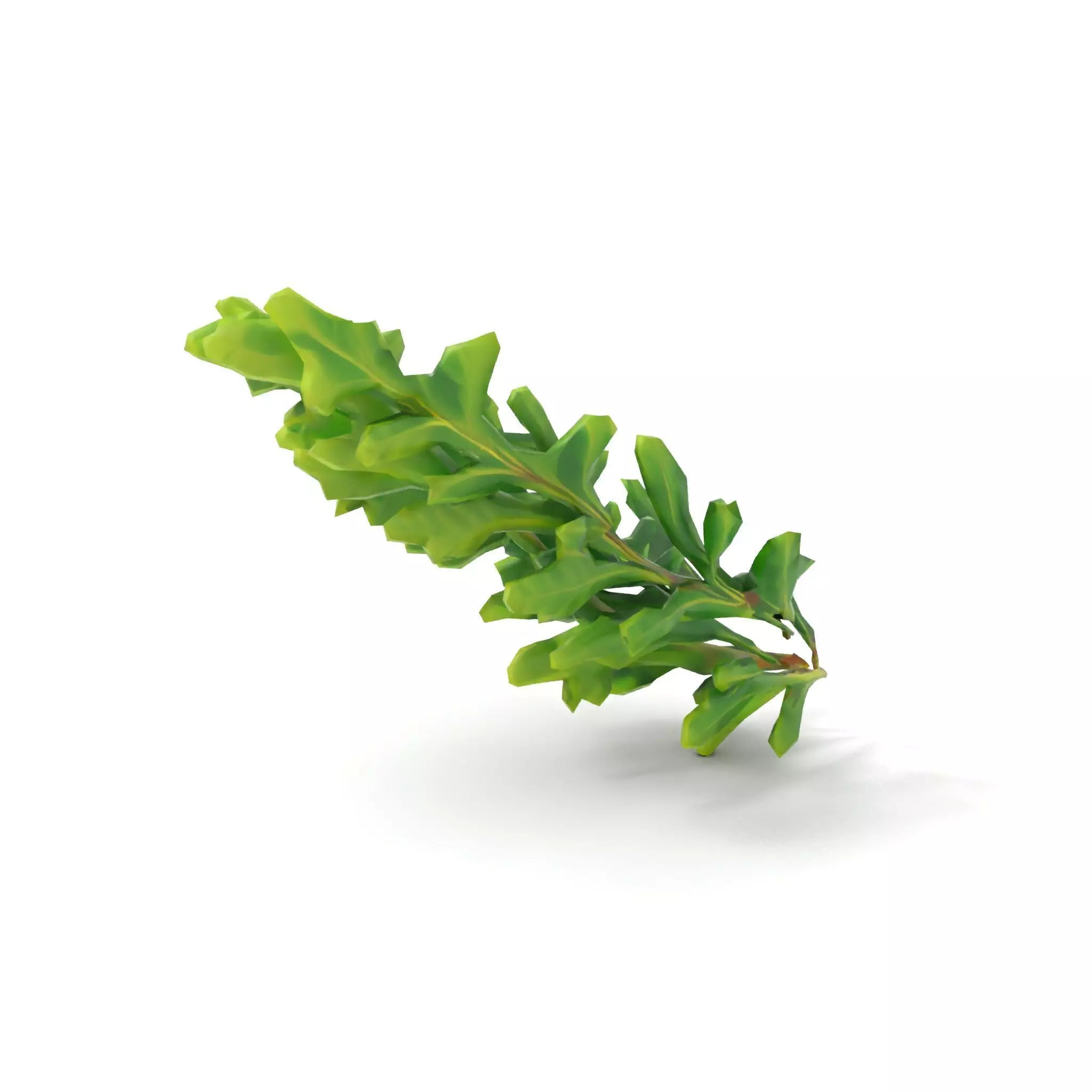 Green Oak Leaf model pack Low-poly 3D model_7