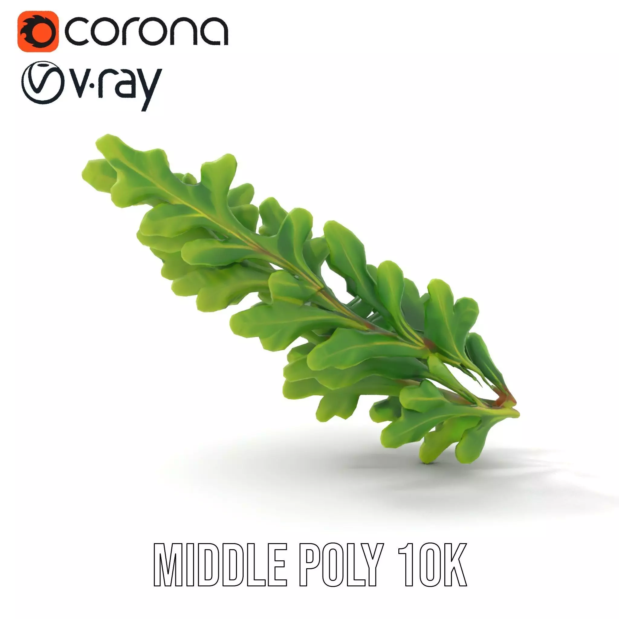 Green Oak Leaf model pack Low-poly 3D model_13