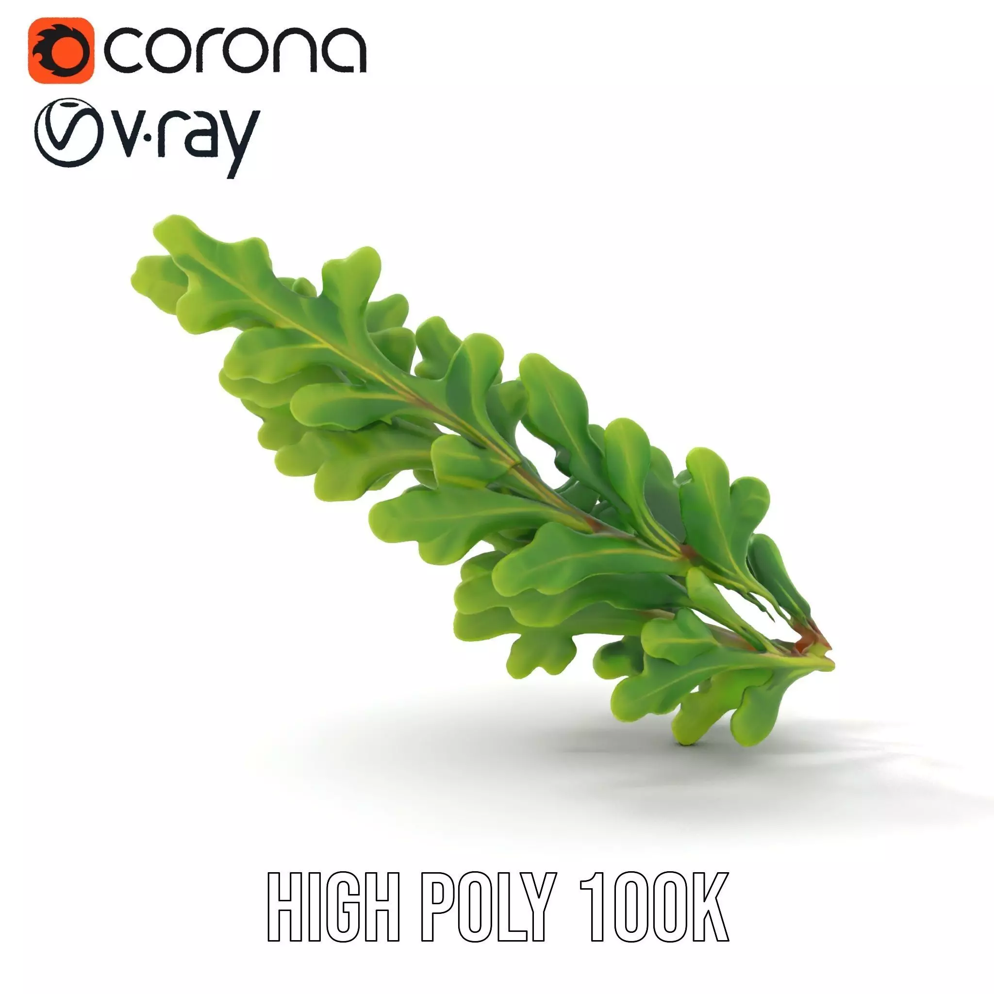 Green Oak Leaf model pack Low-poly 3D model_15