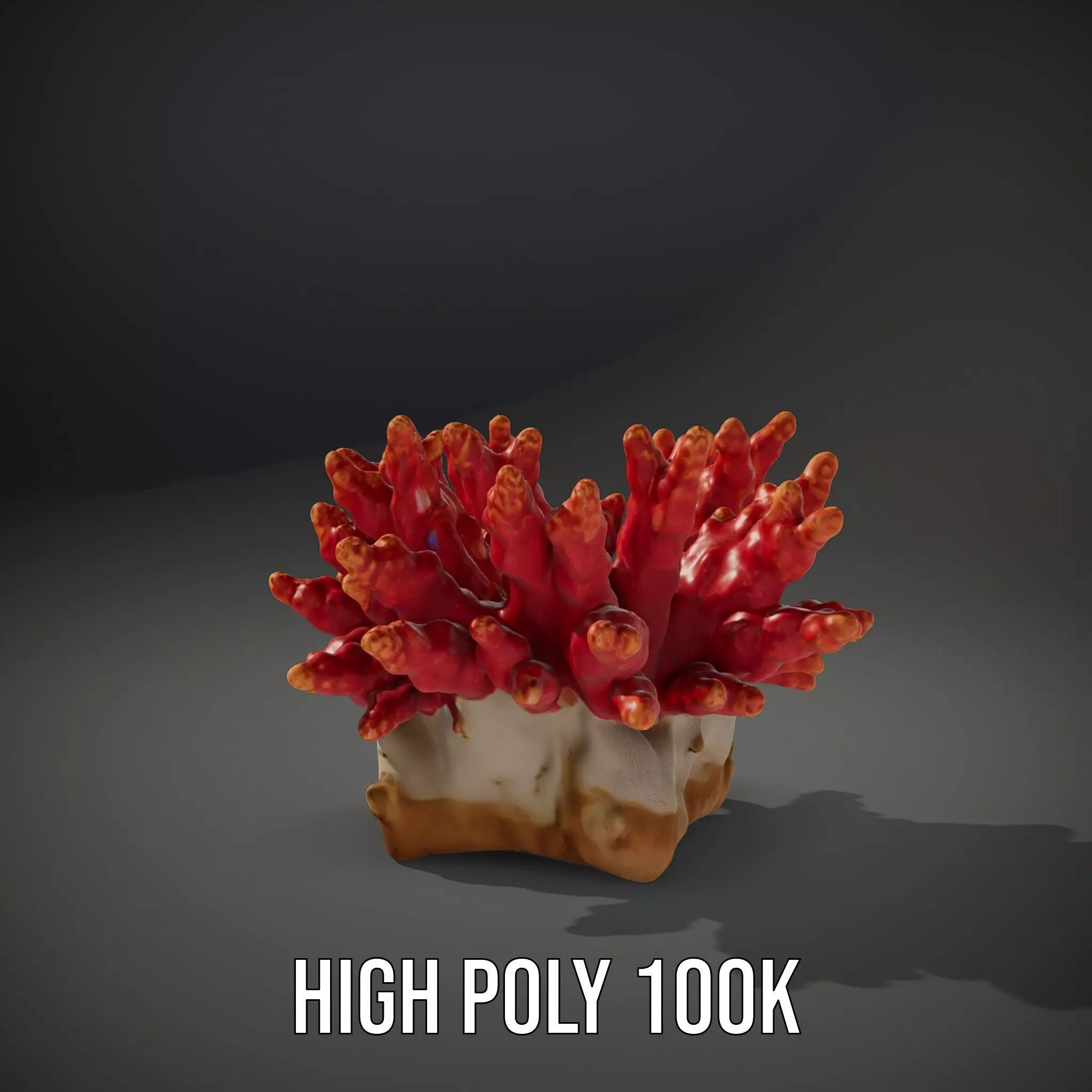 Vibrant Coral Reef model pack Low-poly 3D model_10