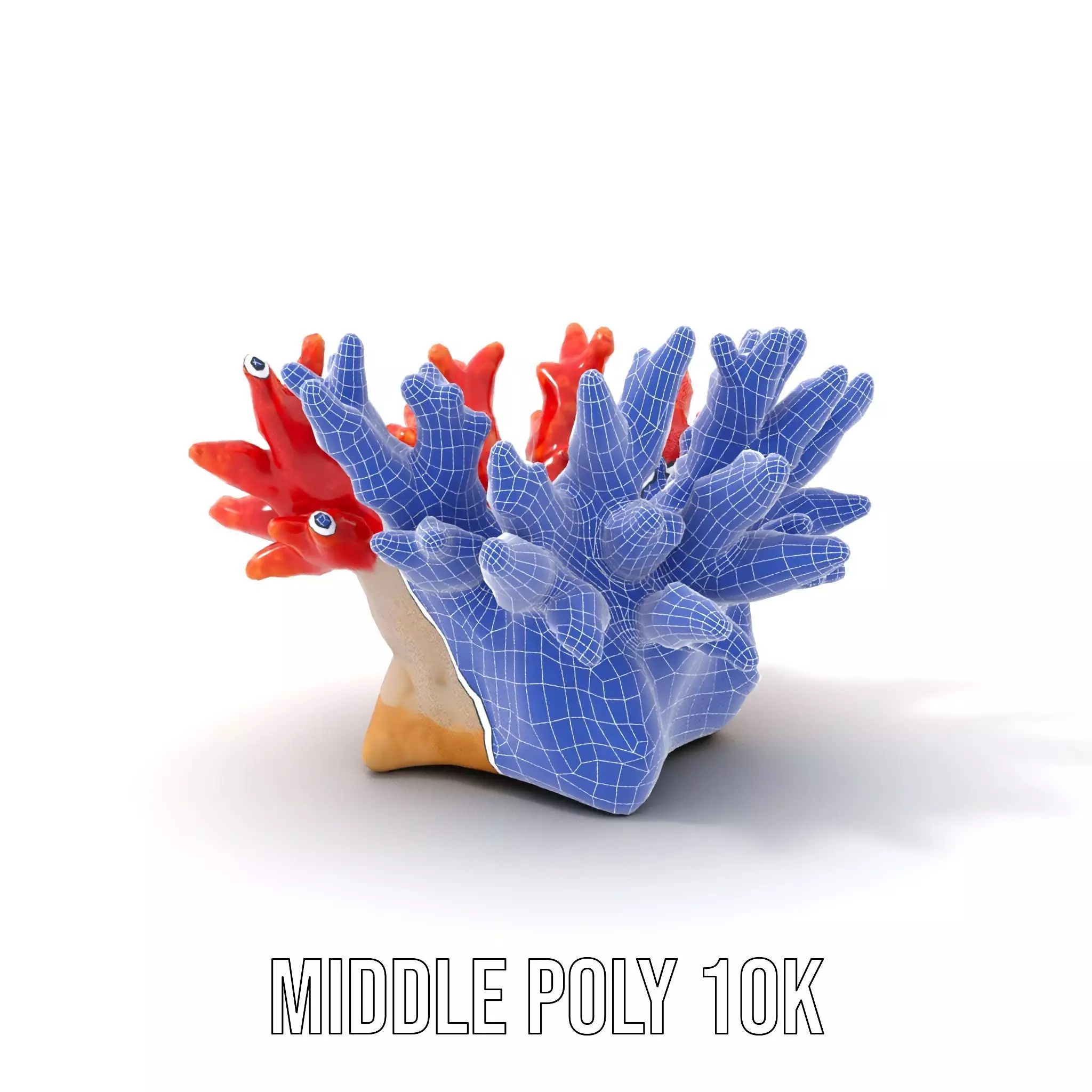 Vibrant Coral Reef model pack Low-poly 3D model_18