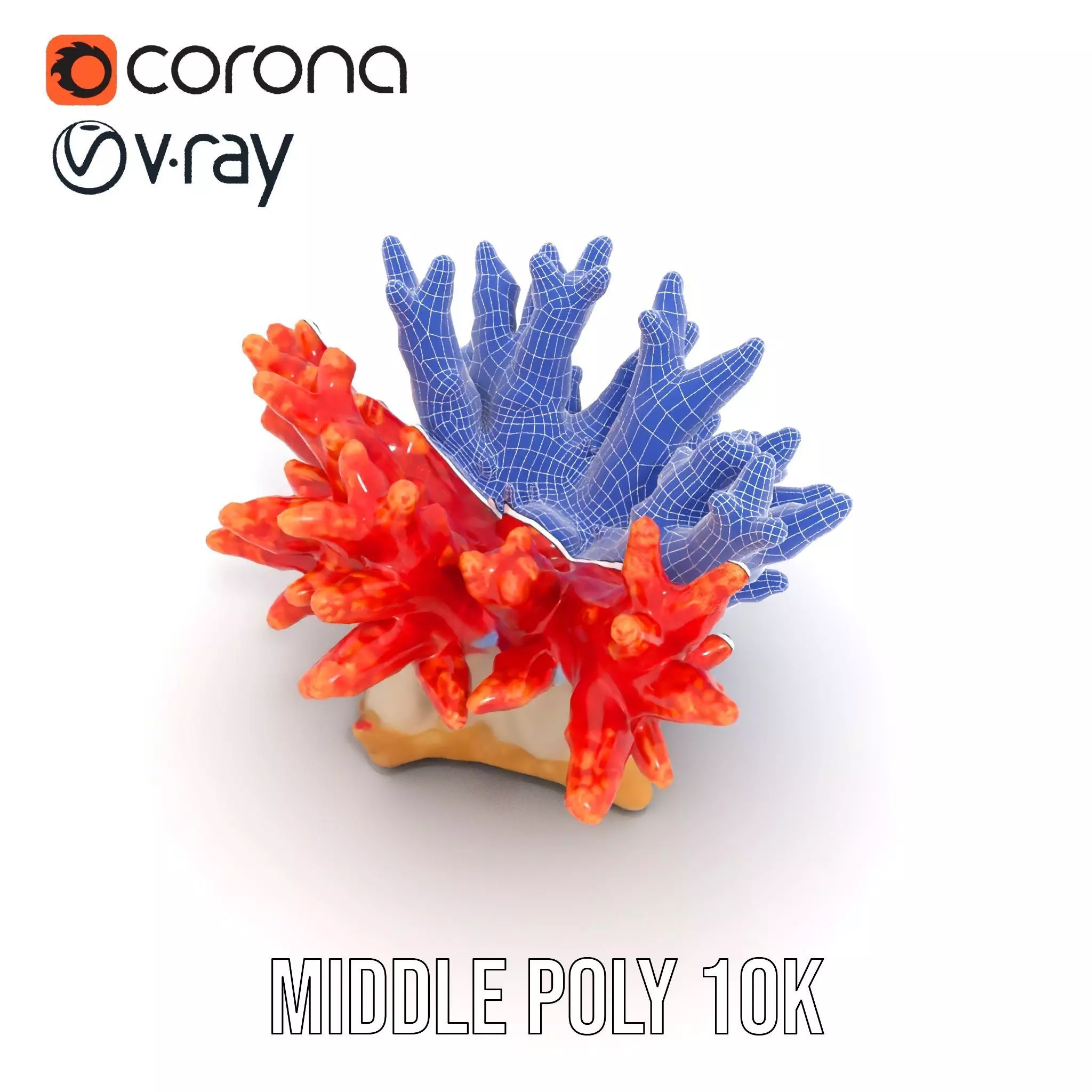 Vibrant Coral Reef model pack Low-poly 3D model_21