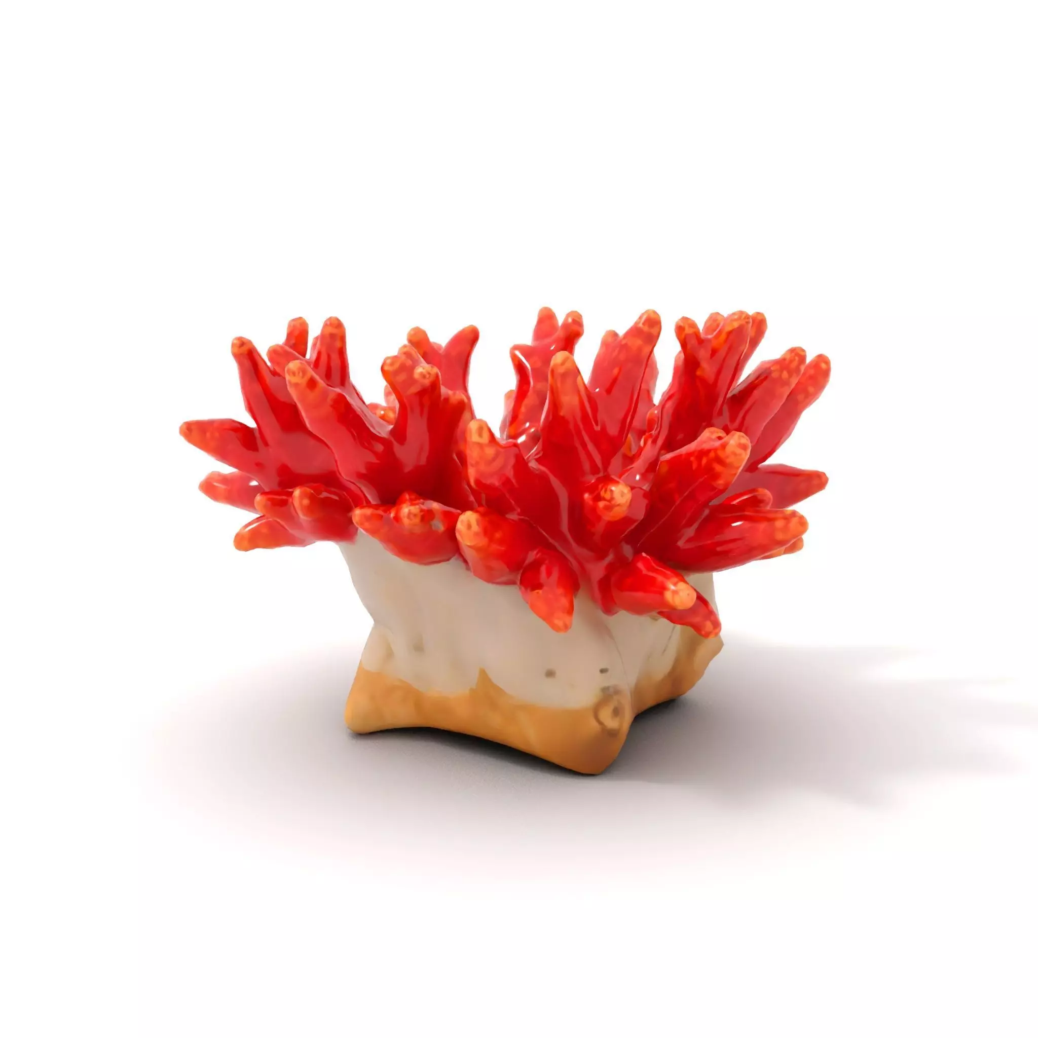 Vibrant Coral Reef model pack Low-poly 3D model_11