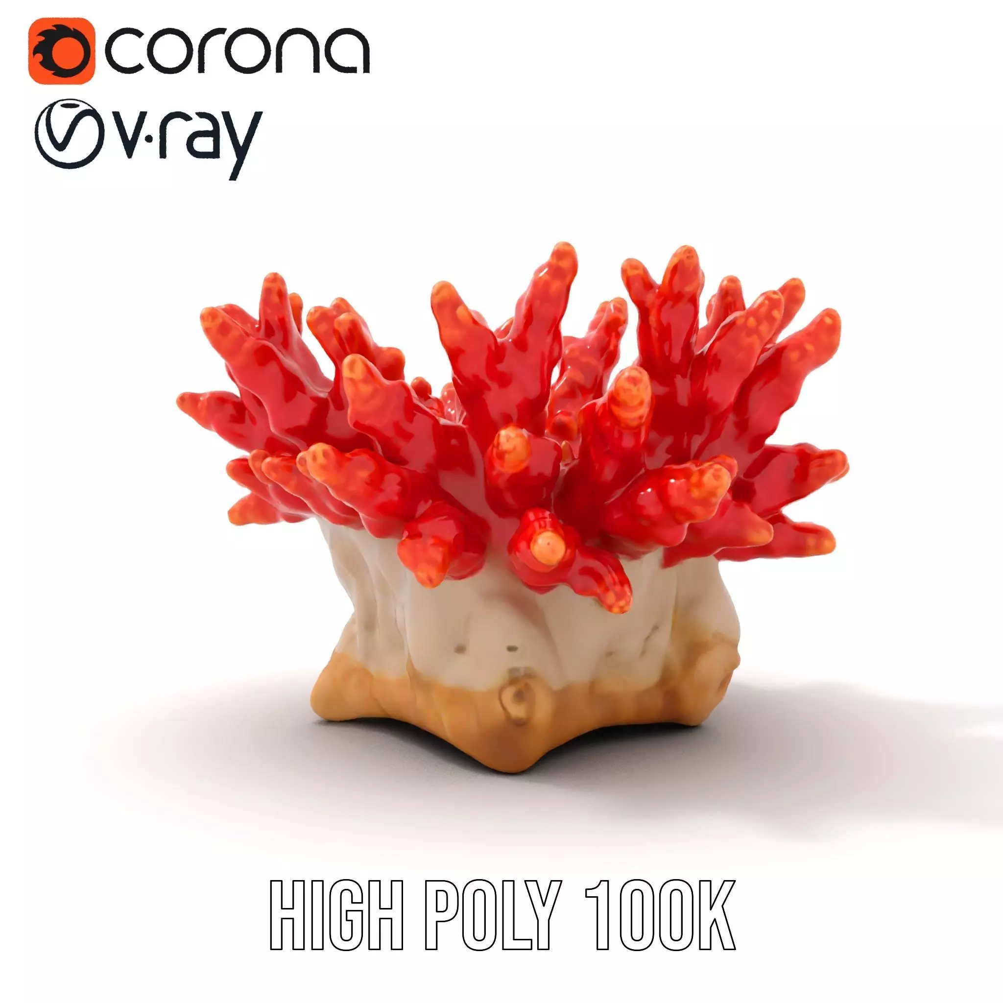 Vibrant Coral Reef model pack Low-poly 3D model_28