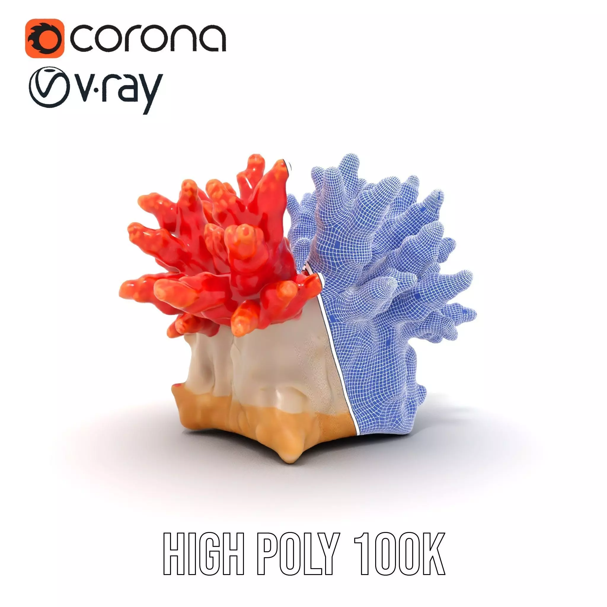Vibrant Coral Reef model pack Low-poly 3D model_34