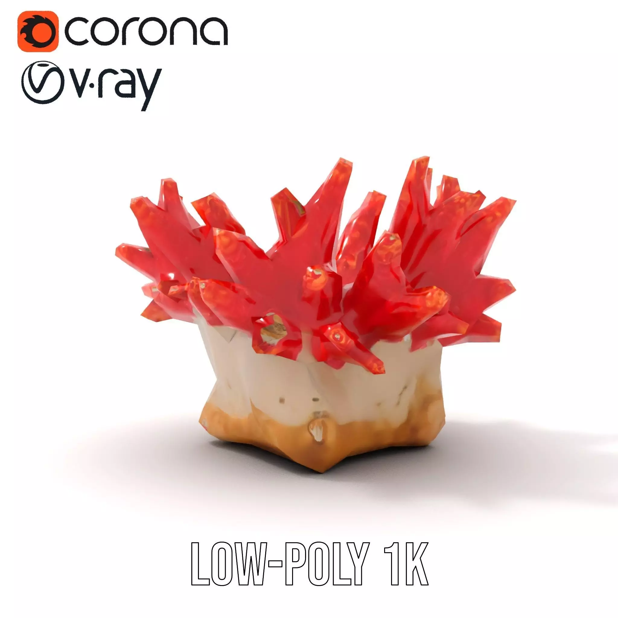 Vibrant Coral Reef model pack Low-poly 3D model_27