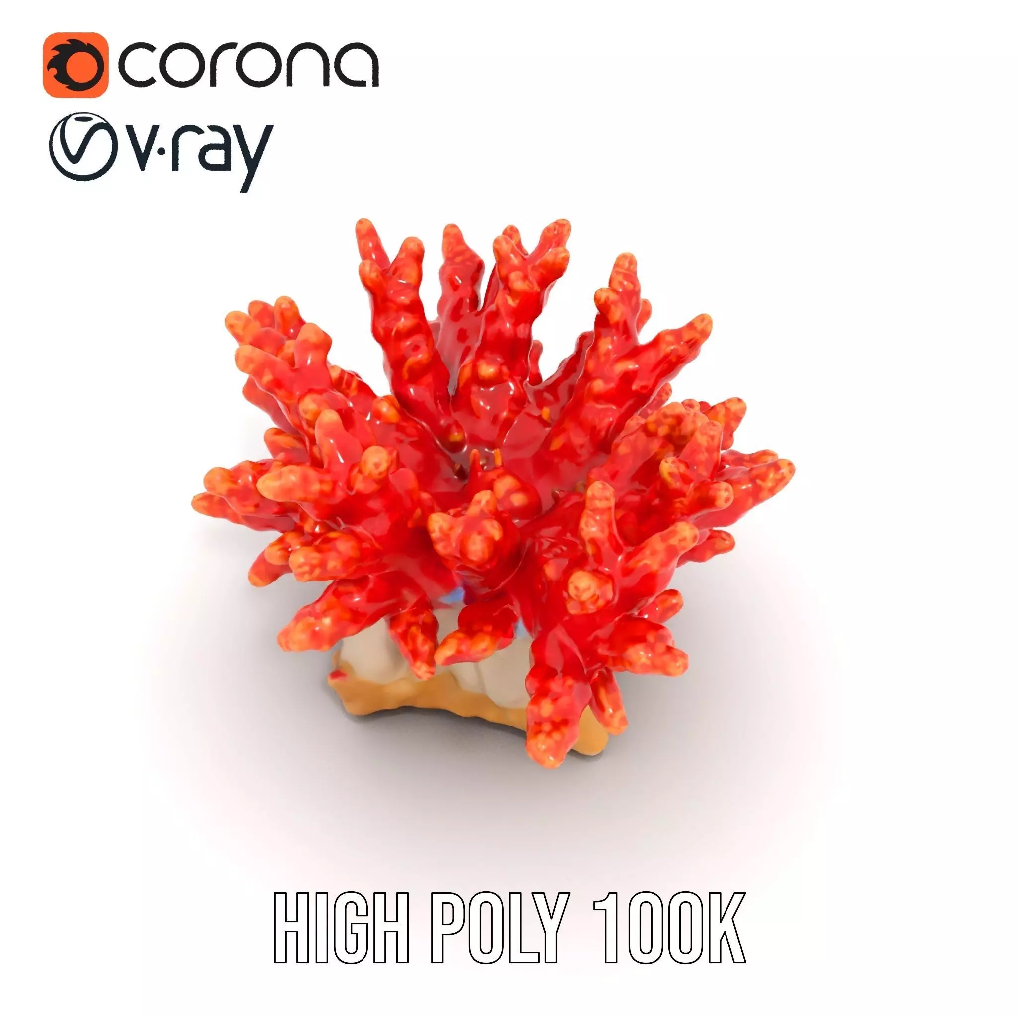 Vibrant Coral Reef model pack Low-poly 3D model_25