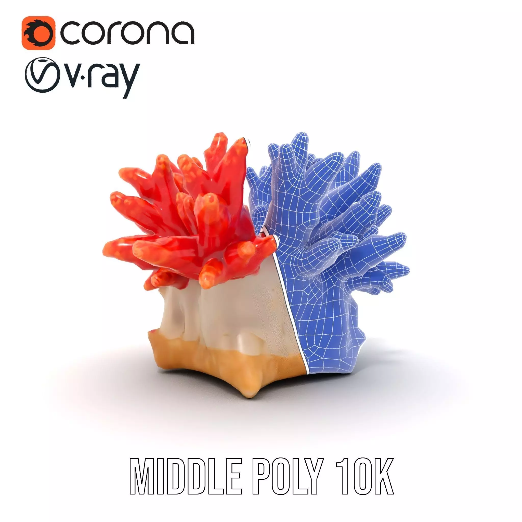 Vibrant Coral Reef model pack Low-poly 3D model_29