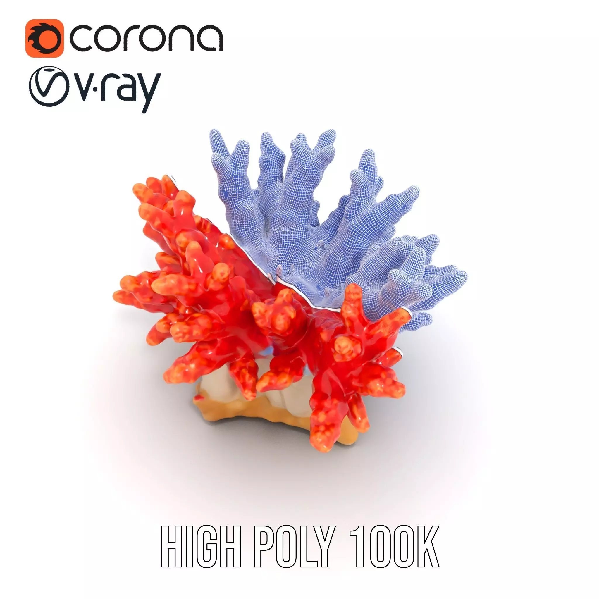 Vibrant Coral Reef model pack Low-poly 3D model_20