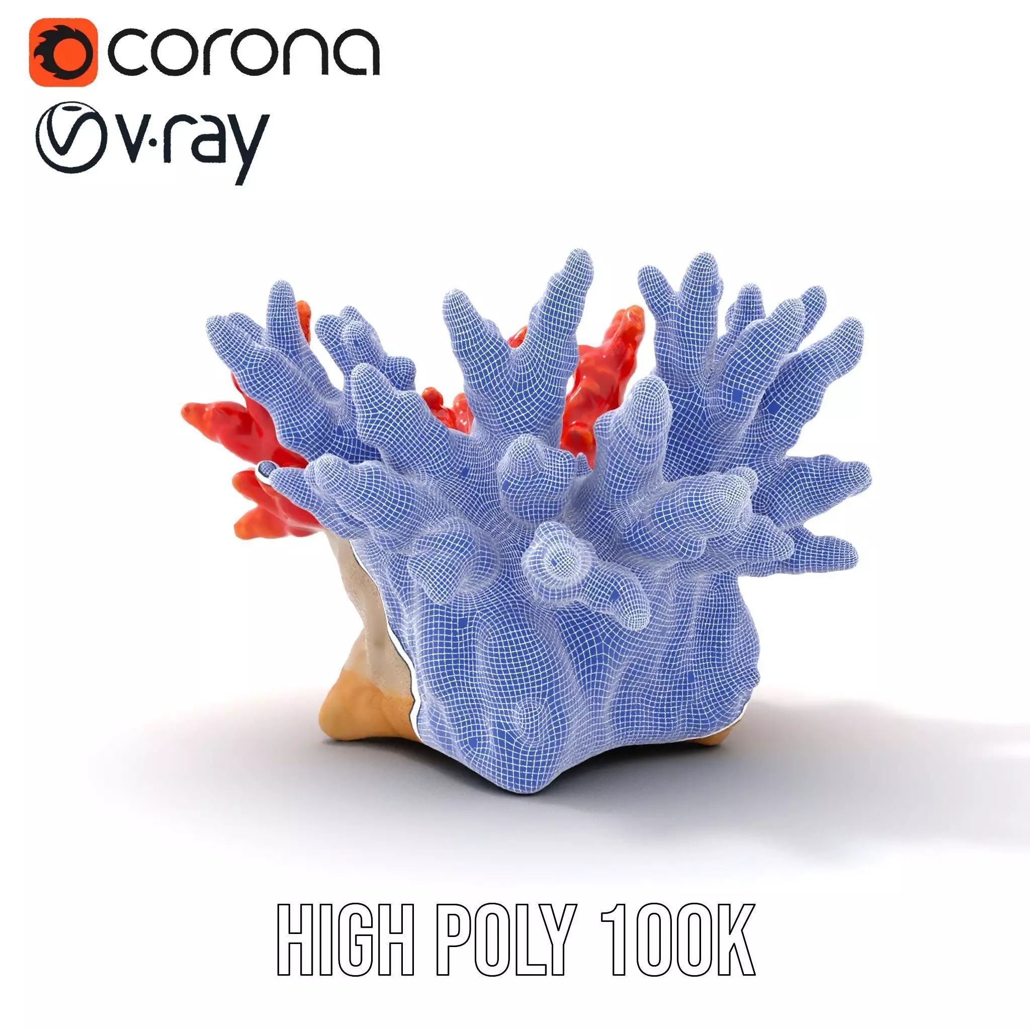 Vibrant Coral Reef model pack Low-poly 3D model_33