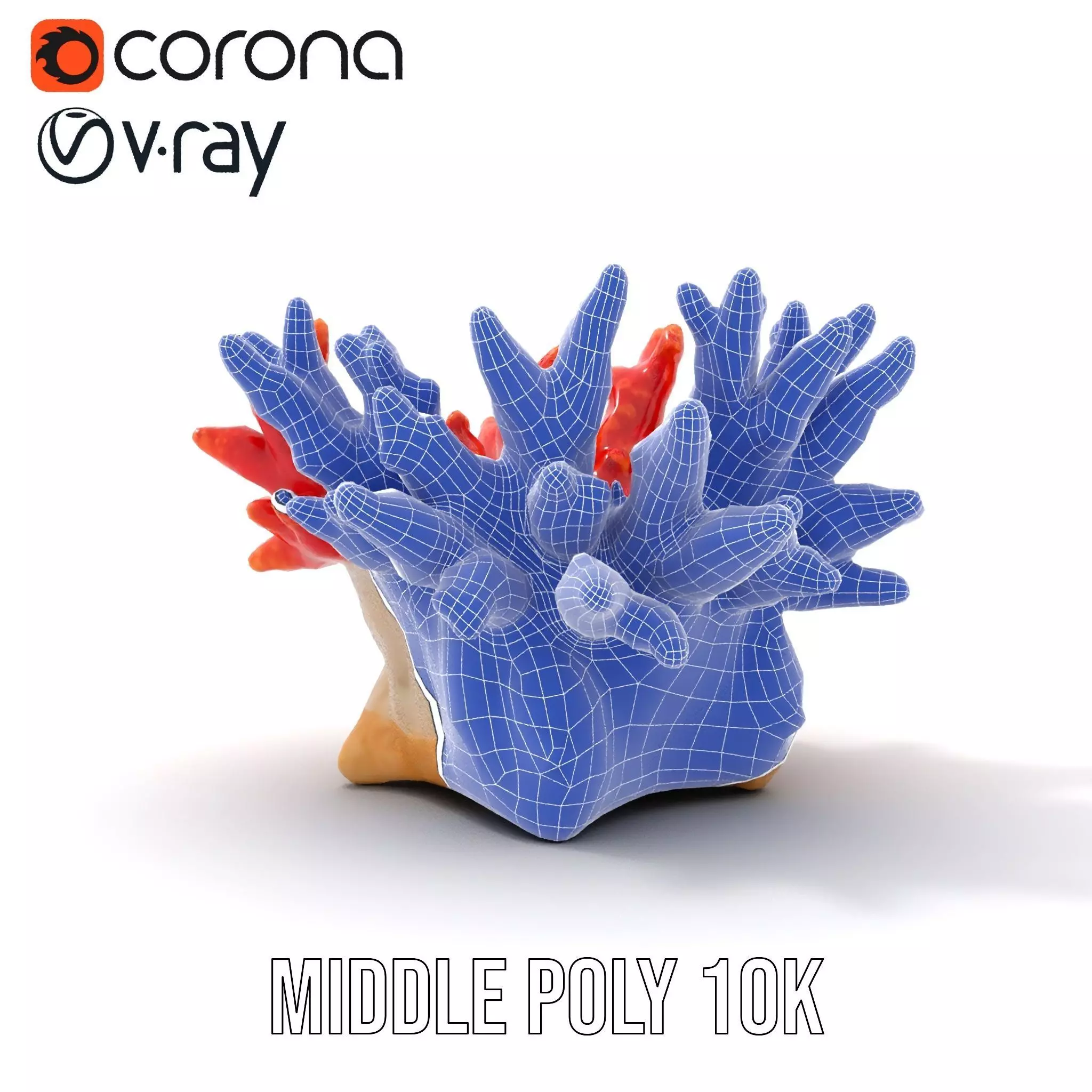 Vibrant Coral Reef model pack Low-poly 3D model_23