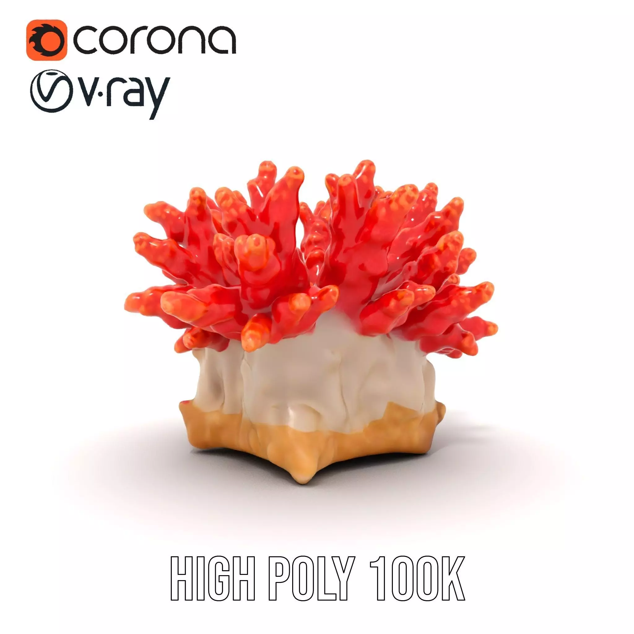 Vibrant Coral Reef model pack Low-poly 3D model_31
