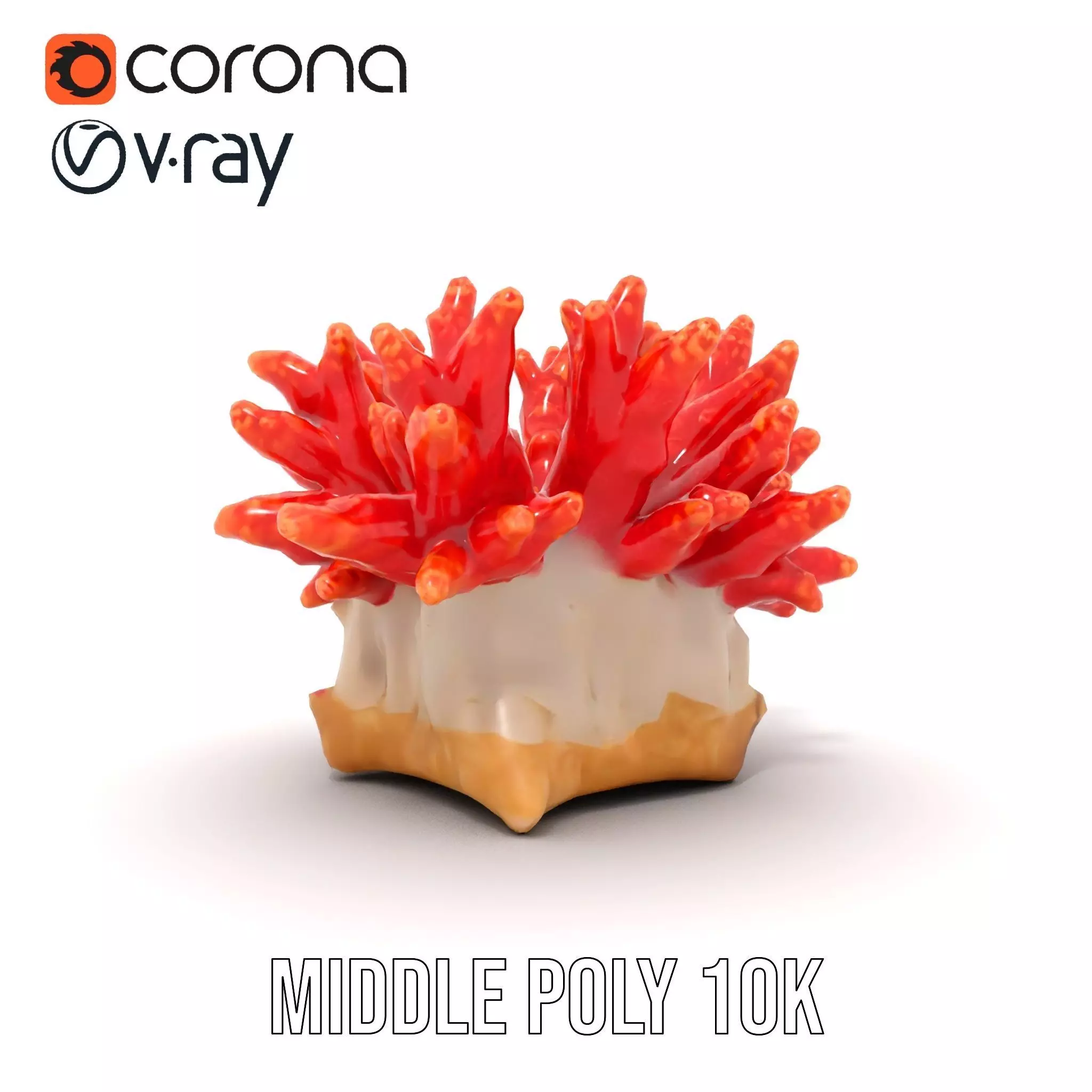 Vibrant Coral Reef model pack Low-poly 3D model_16