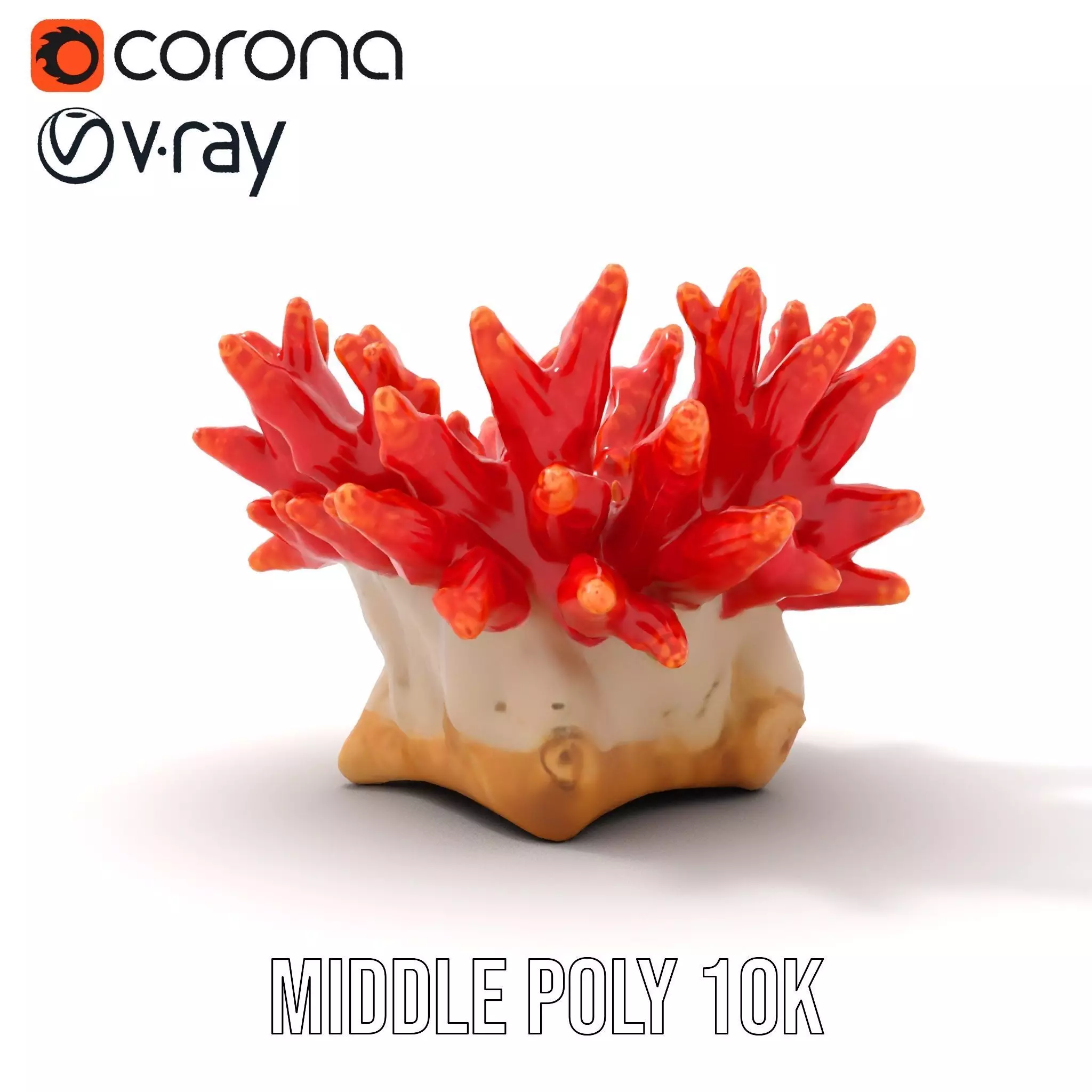 Vibrant Coral Reef model pack Low-poly 3D model_5