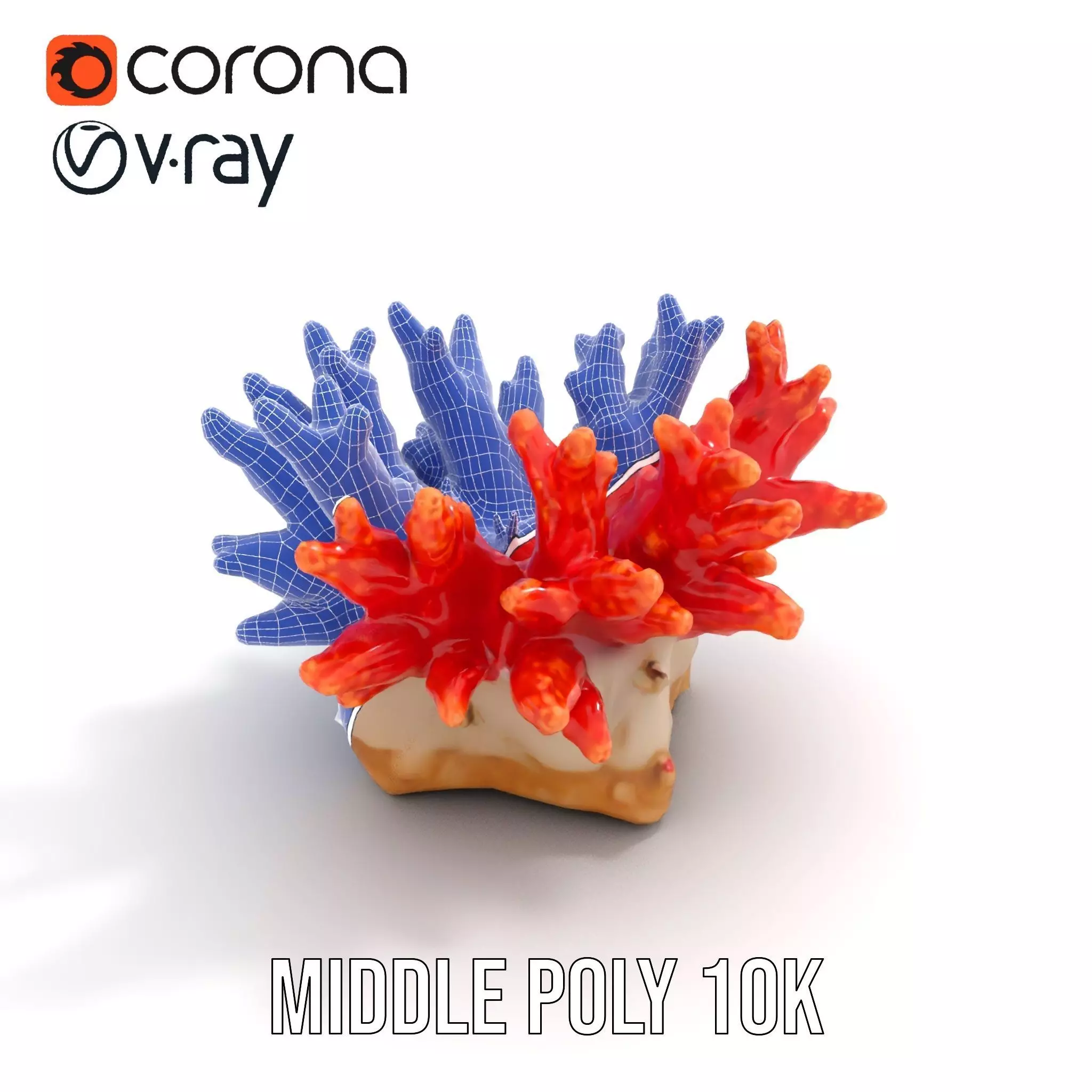 Vibrant Coral Reef model pack Low-poly 3D model_26