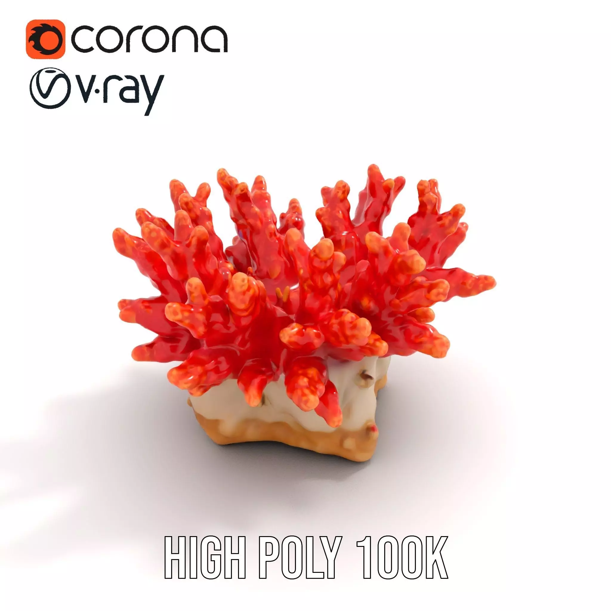 Vibrant Coral Reef model pack Low-poly 3D model_13