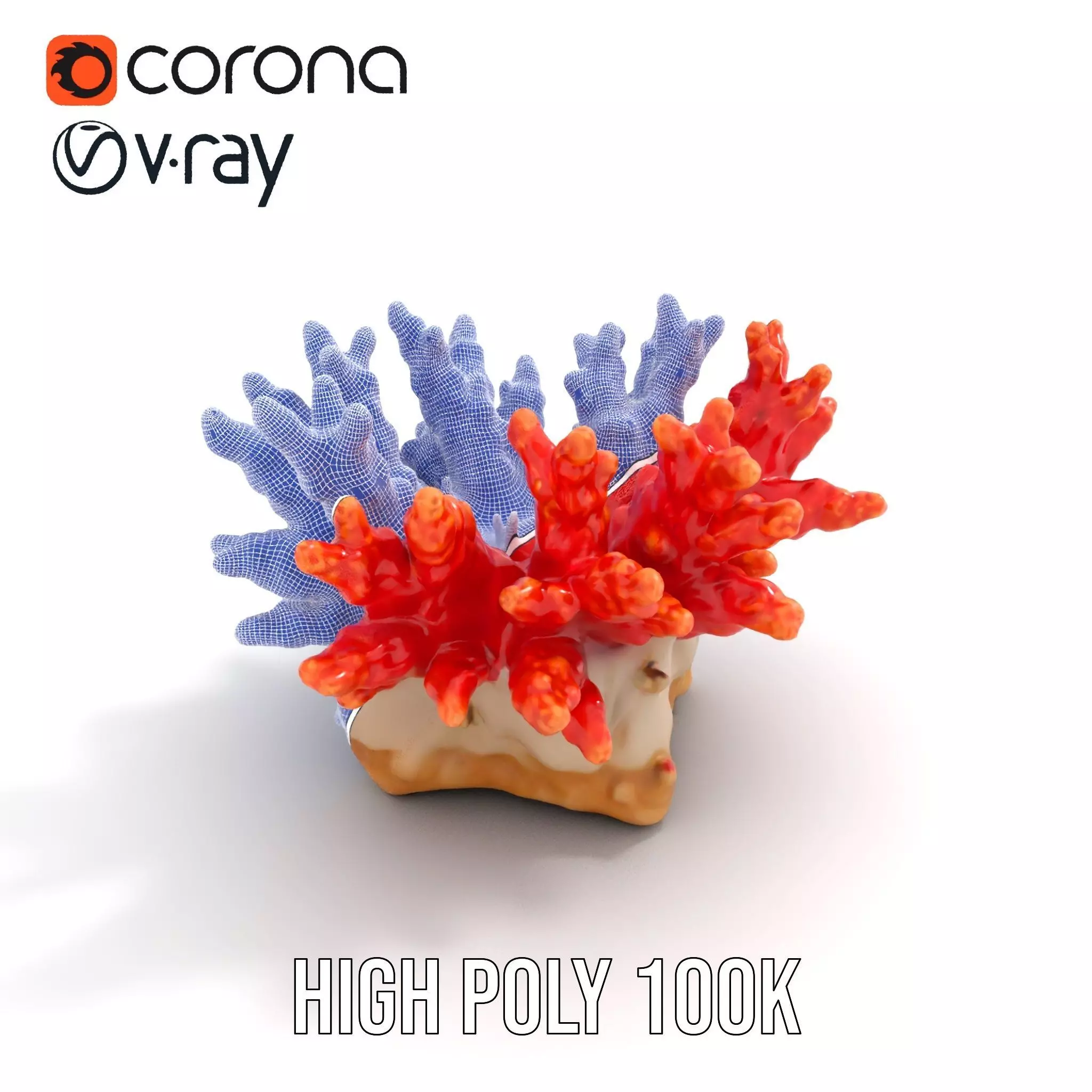 Vibrant Coral Reef model pack Low-poly 3D model_32