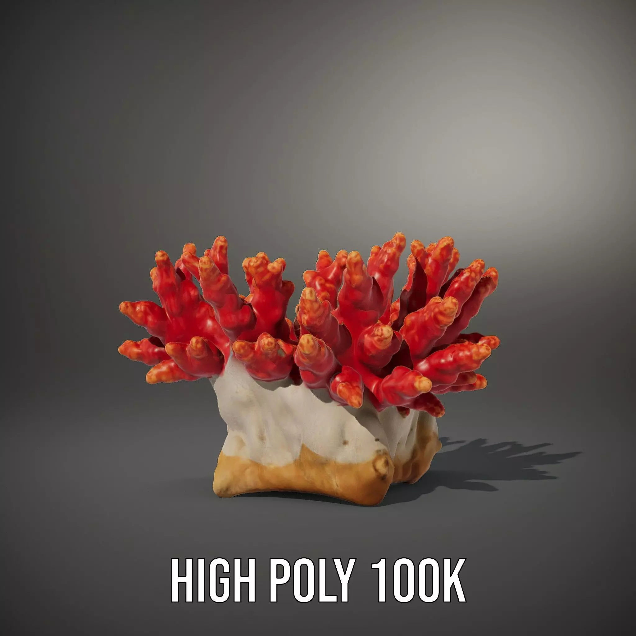 Vibrant Coral Reef model pack Low-poly 3D model_8