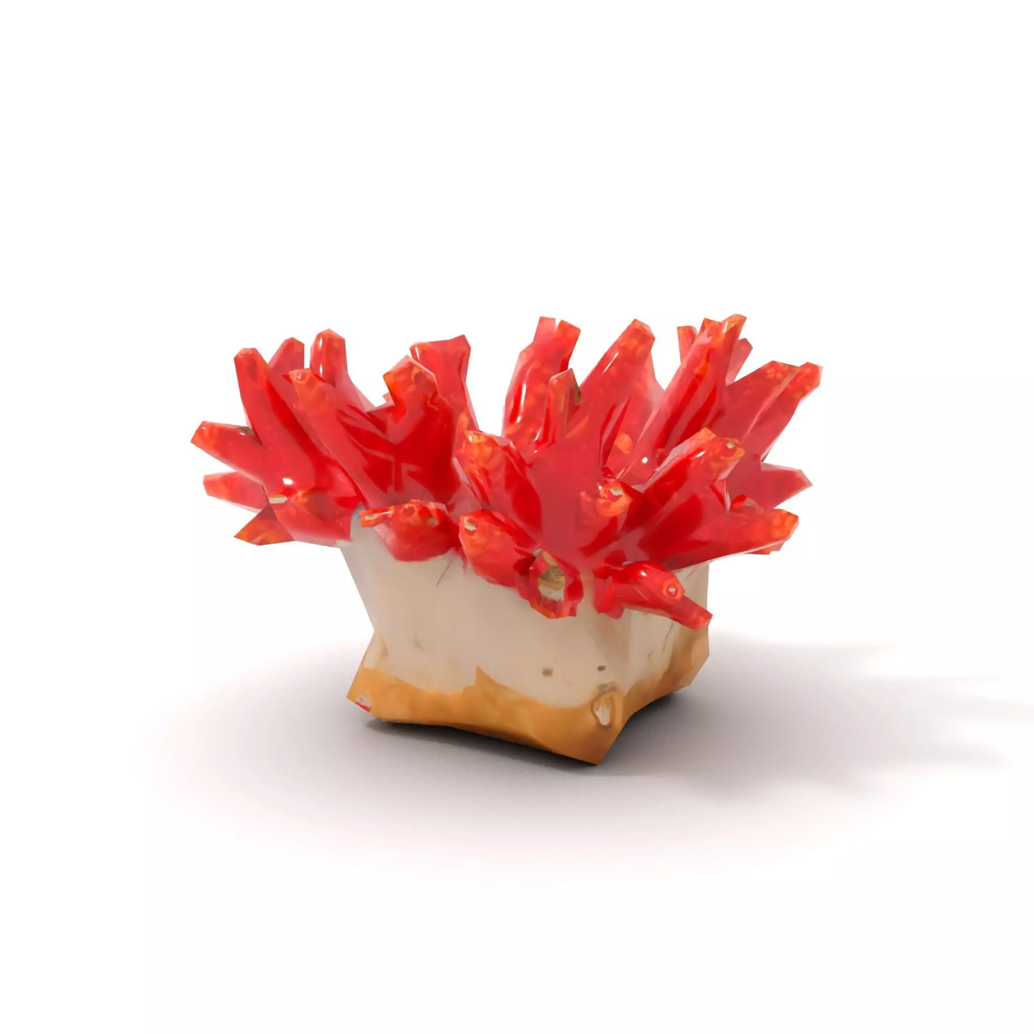 Vibrant Coral Reef model pack Low-poly 3D model_12