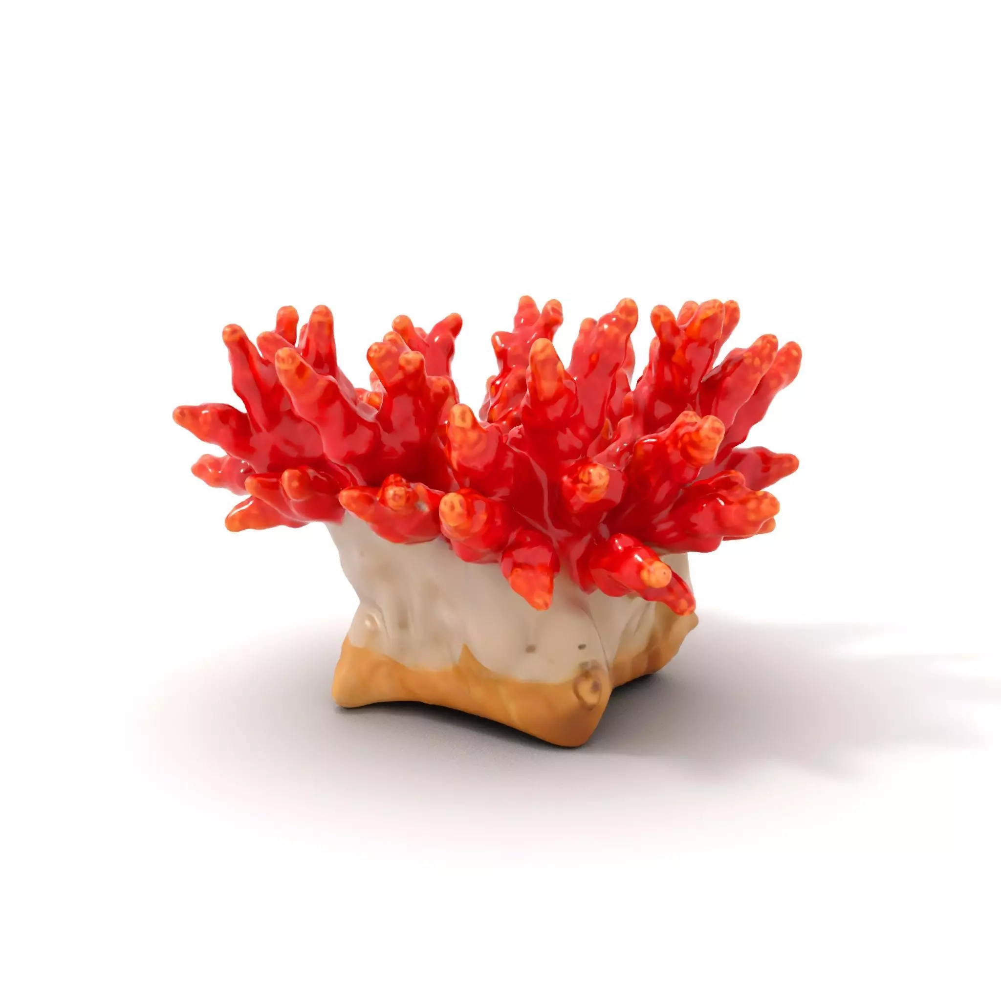Vibrant Coral Reef model pack Low-poly 3D model_0