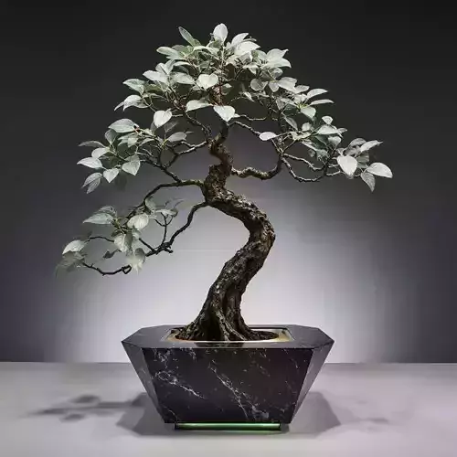 Bonsai Minimalism Decor High-Quality 