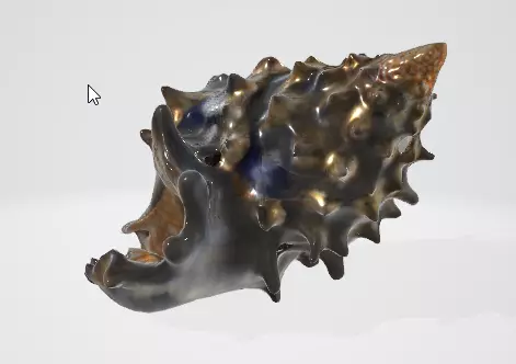 Beach Seashell 3D Model for Games and Animation 3D model_2