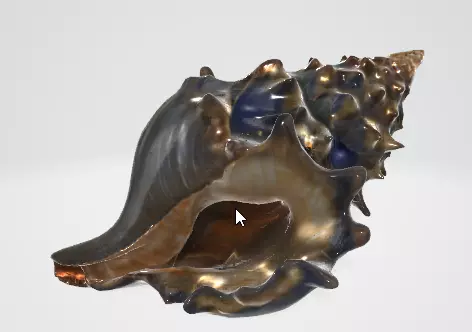 Beach Seashell 3D Model for Games and Animation 3D model_1