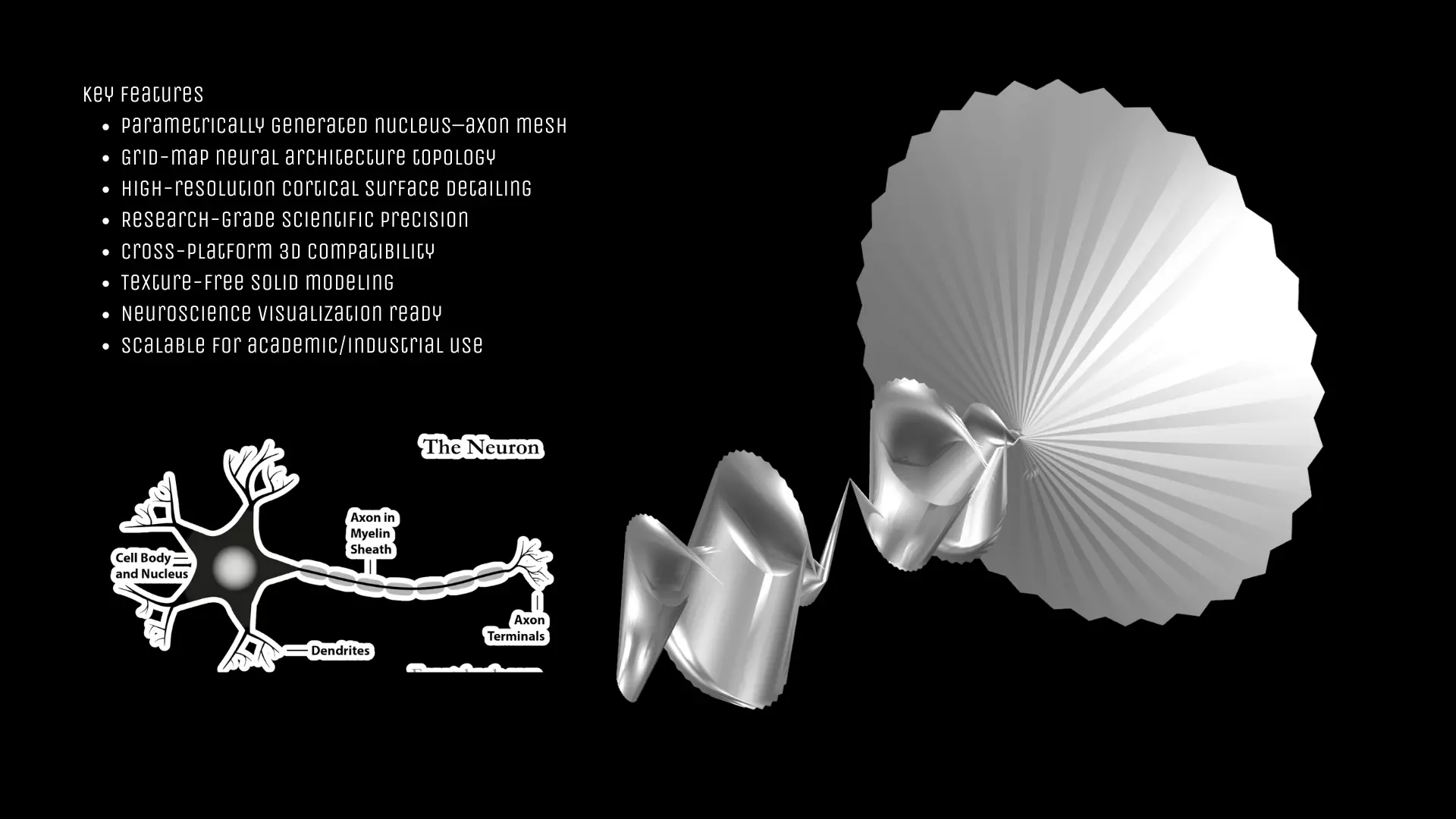 Neural Nucleus Model  Low-poly 3D model_0