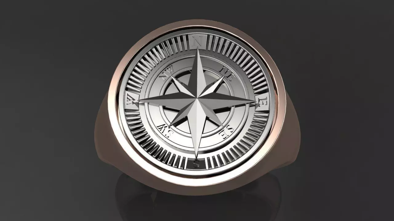 Rings compass 3D print model_2