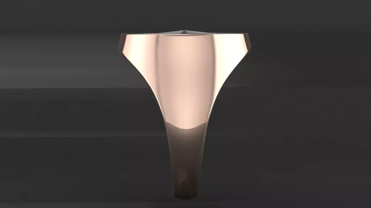 Rings compass 3D print model_3