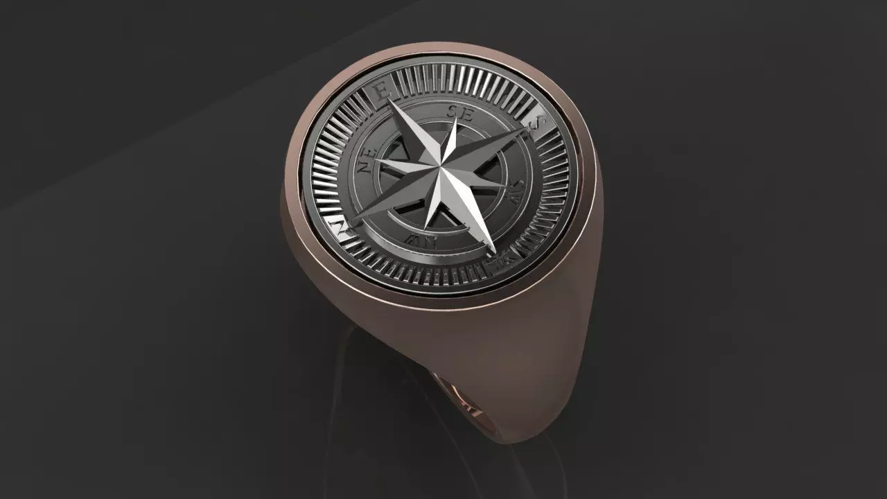 Rings compass 3D print model_4