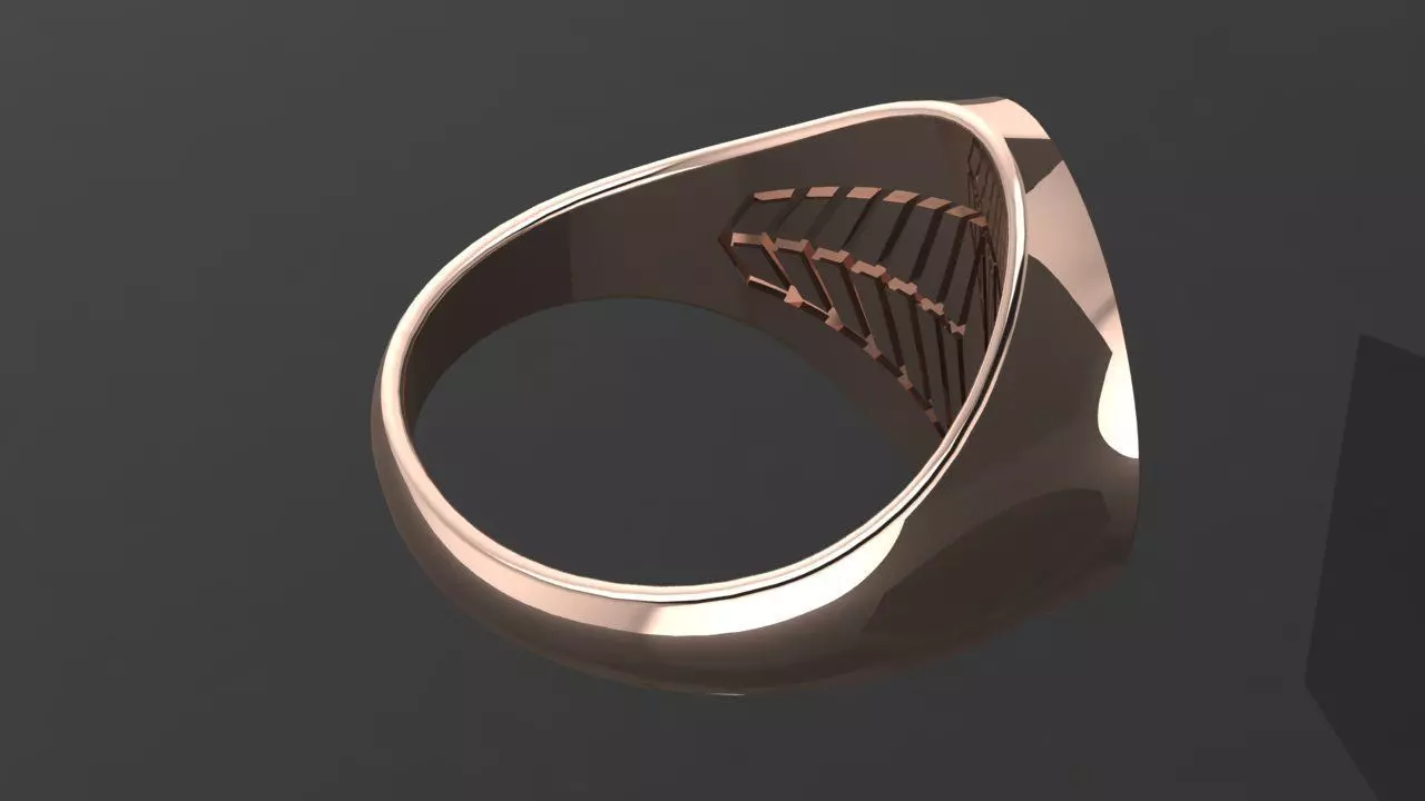 Rings compass 3D print model_6