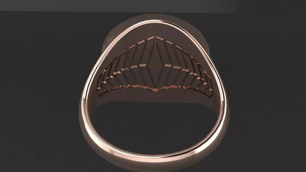 Rings compass 3D print model_5