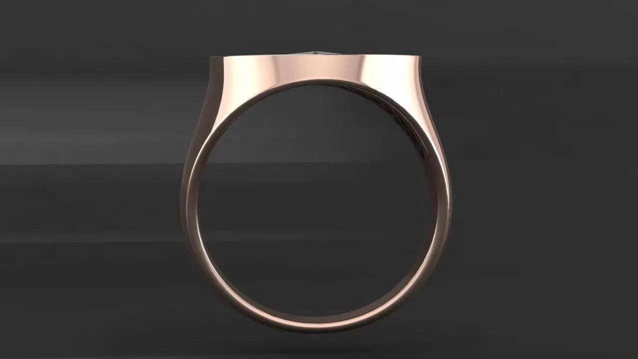 Rings compass 3D print model_1