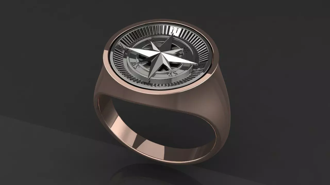 Rings compass 3D print model_0