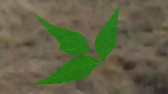 3D Low-Poly Leaf Model Game Ready Nature Asset tree leaf
