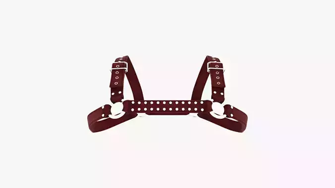 Punk Harness 06