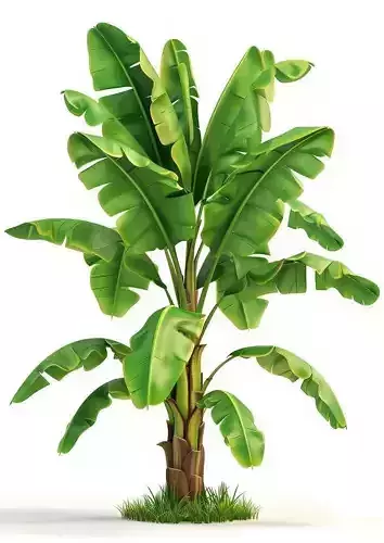 Banana Tree 3D Realistic Tropical Plant Lush Green Leaves Low-poly 3D model