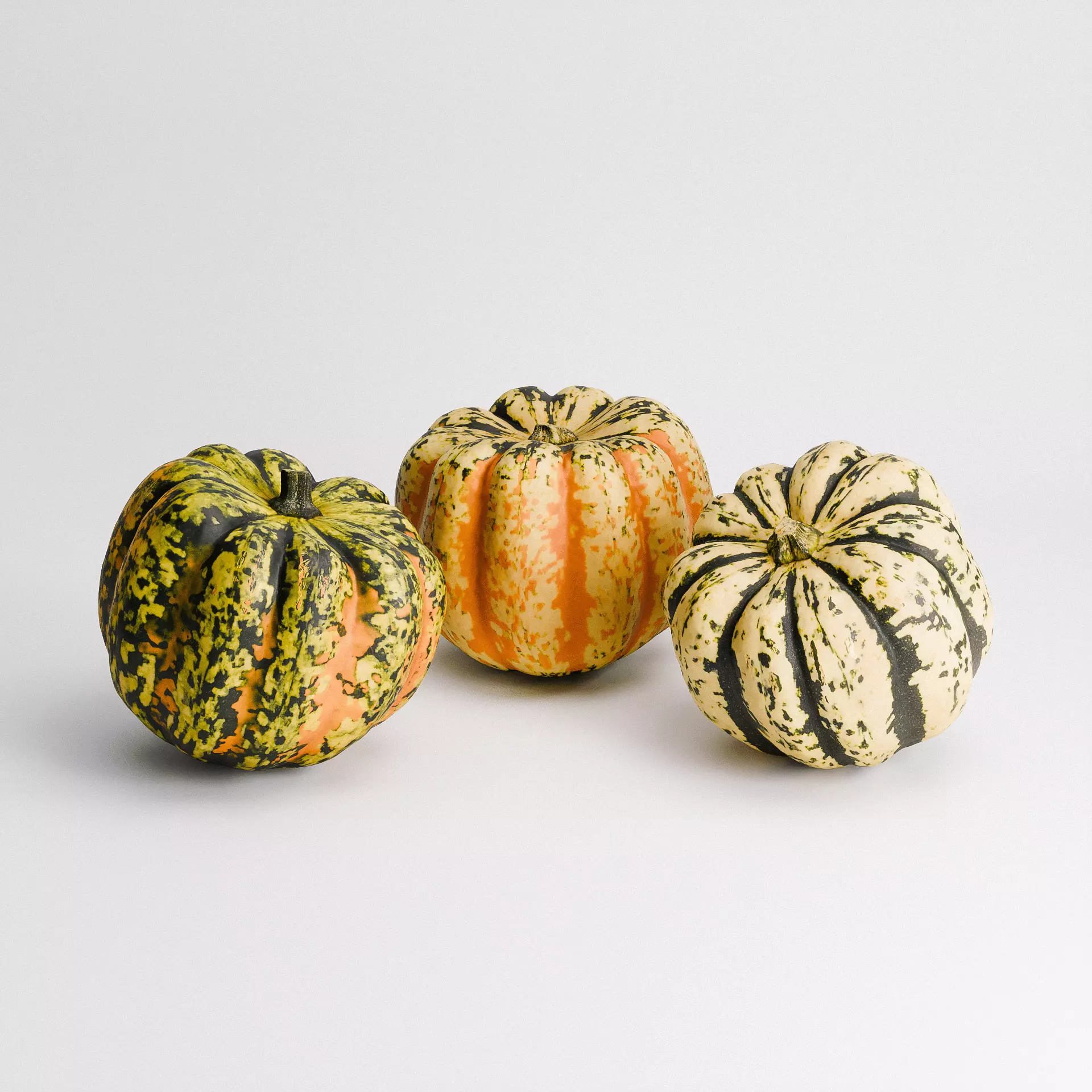 Carnival Squash Set 01 Low-poly 3D model