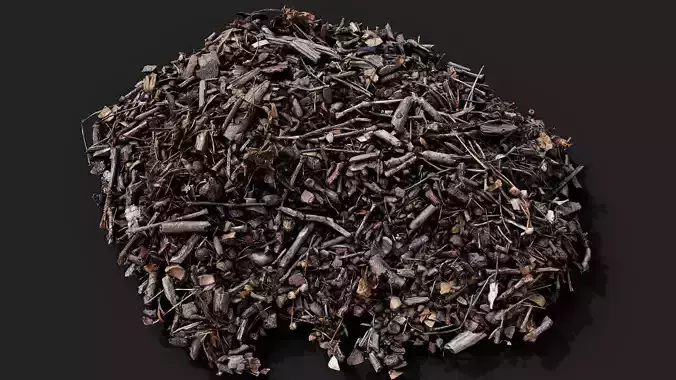 forest ground debris pile pt8 detail PBR photogrammetry