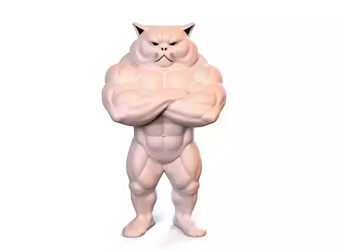 pumped-up cat