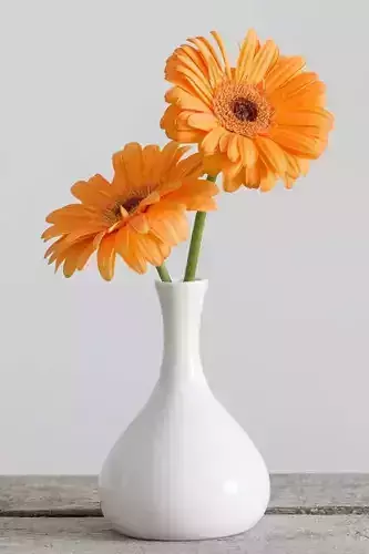 Orange Gerbera Flowers Vase 3D Minimalist Floral Arrangement Low-poly 3D model