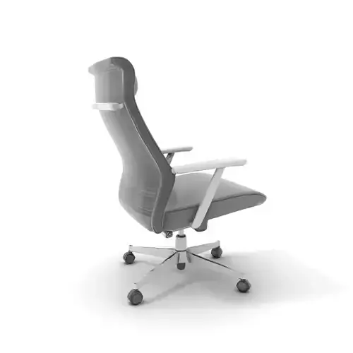 Ergonomic Mesh Office Chair model pack