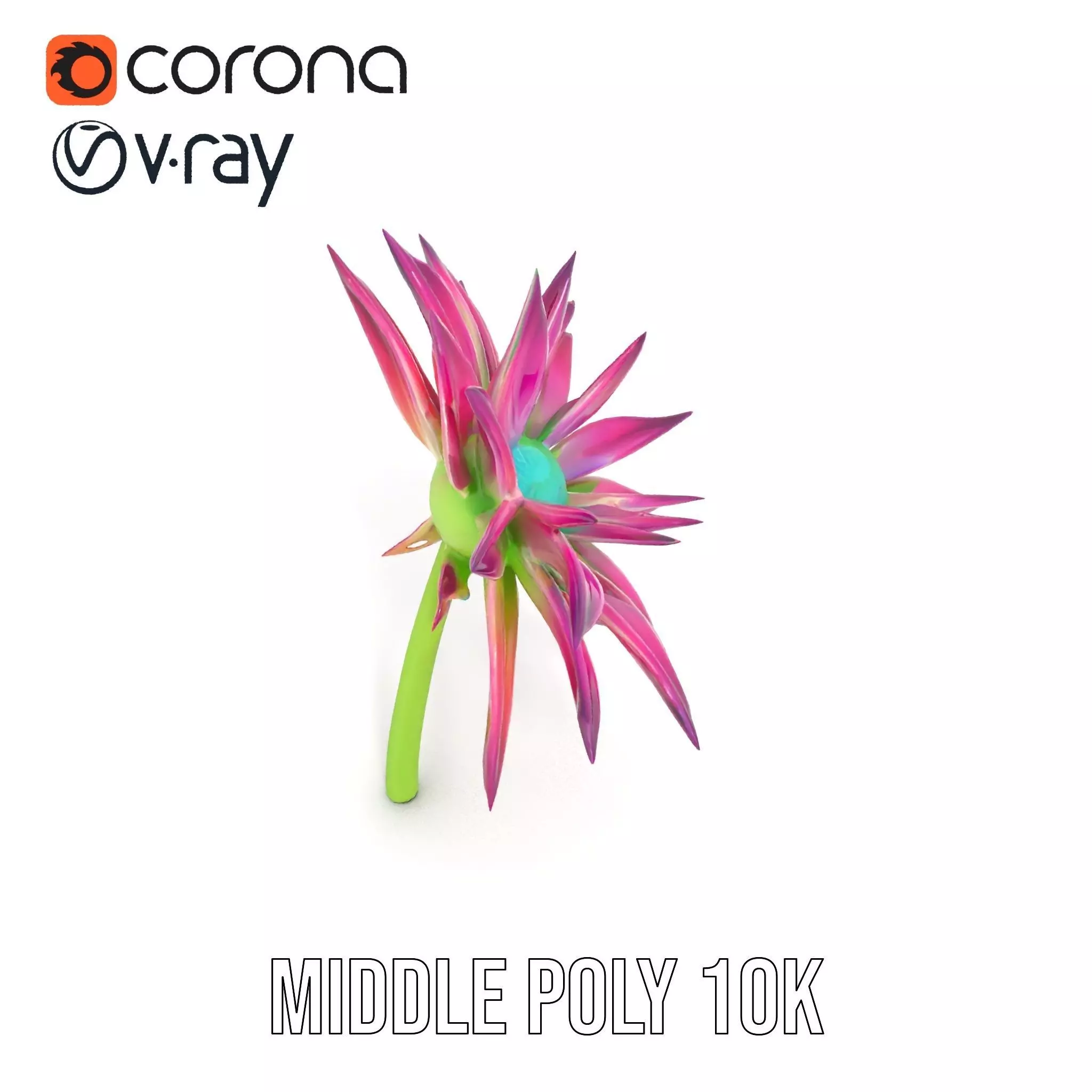 Radiant Bloom Flower model pack Low-poly 3D model_11