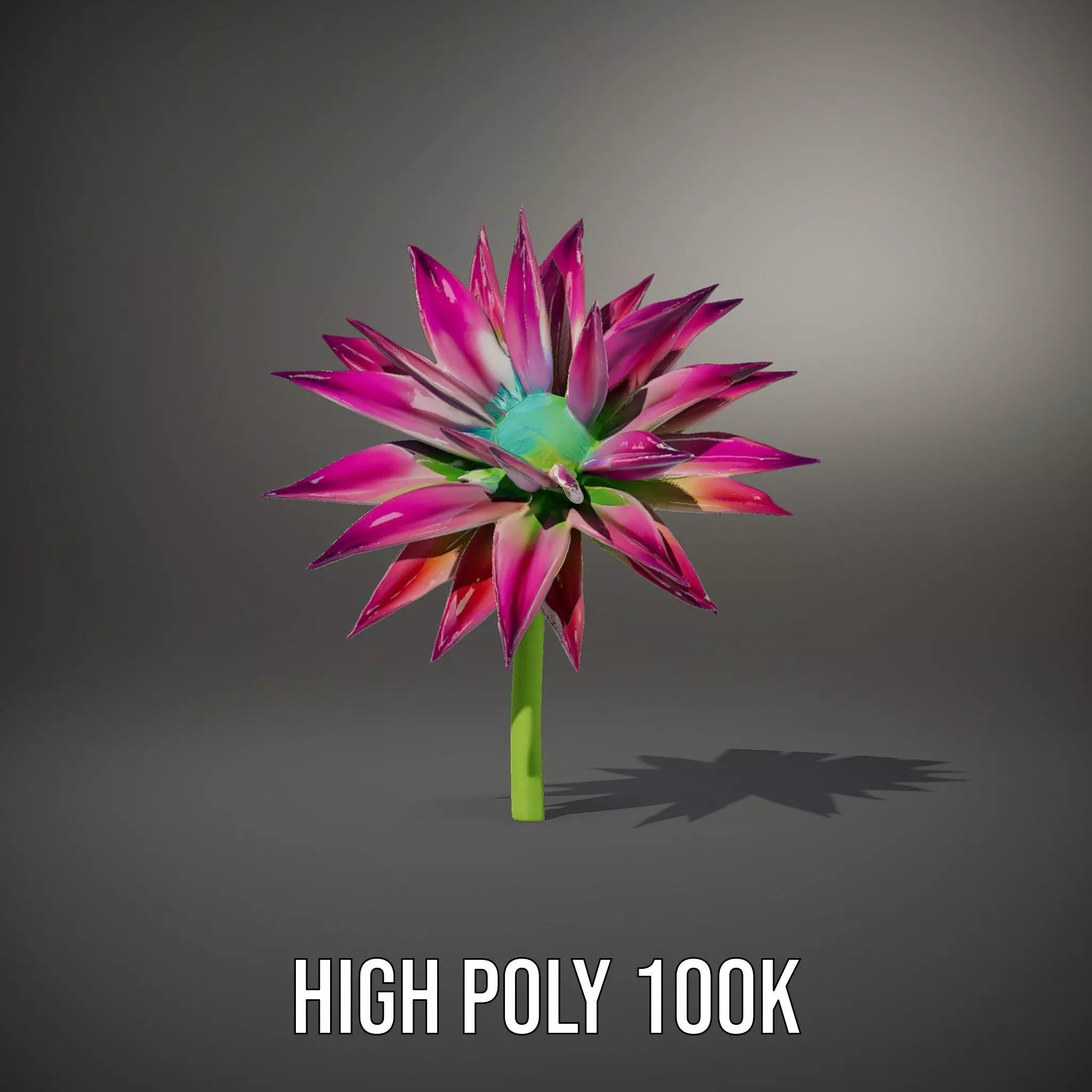 Radiant Bloom Flower model pack Low-poly 3D model_8