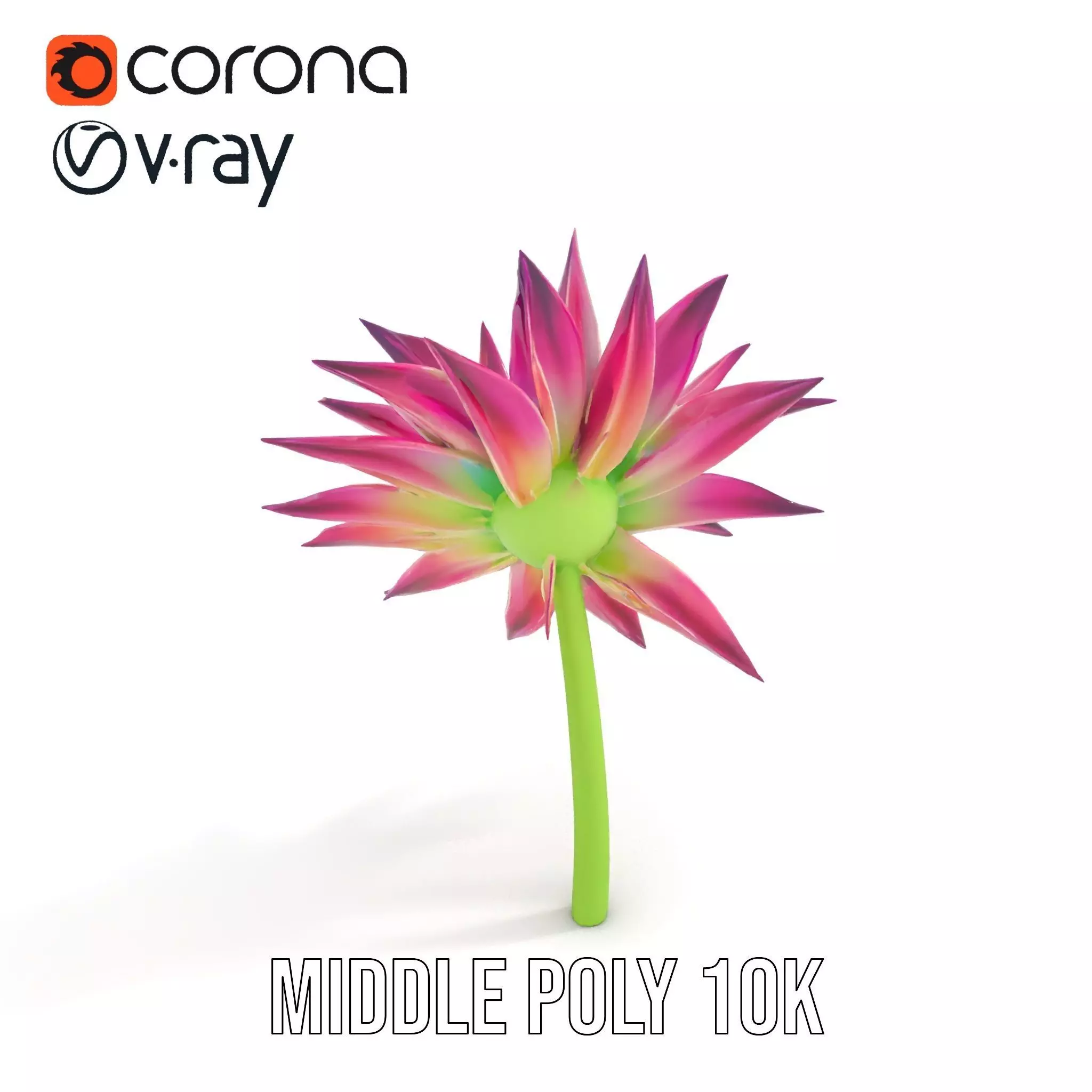 Radiant Bloom Flower model pack Low-poly 3D model_16