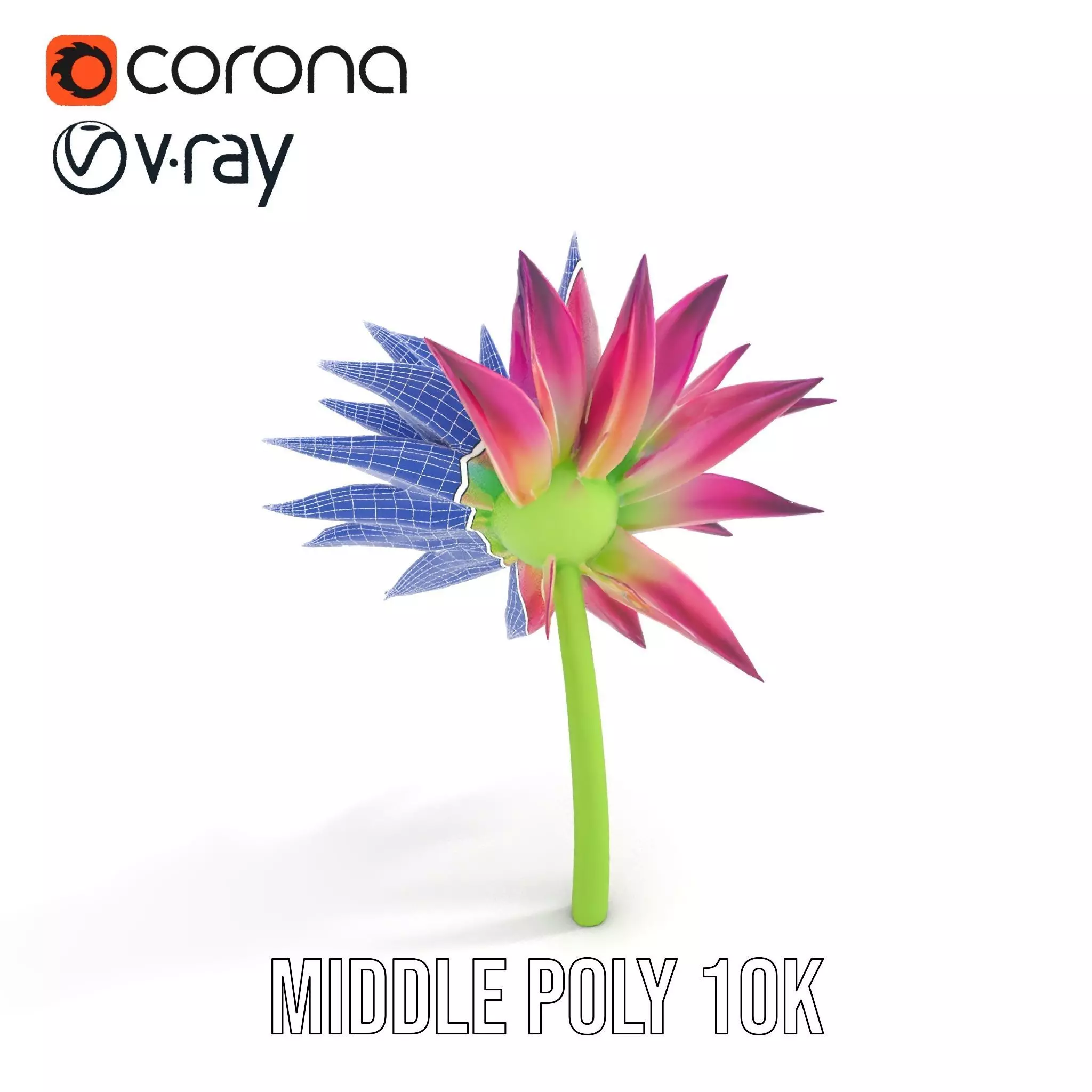 Radiant Bloom Flower model pack Low-poly 3D model_5