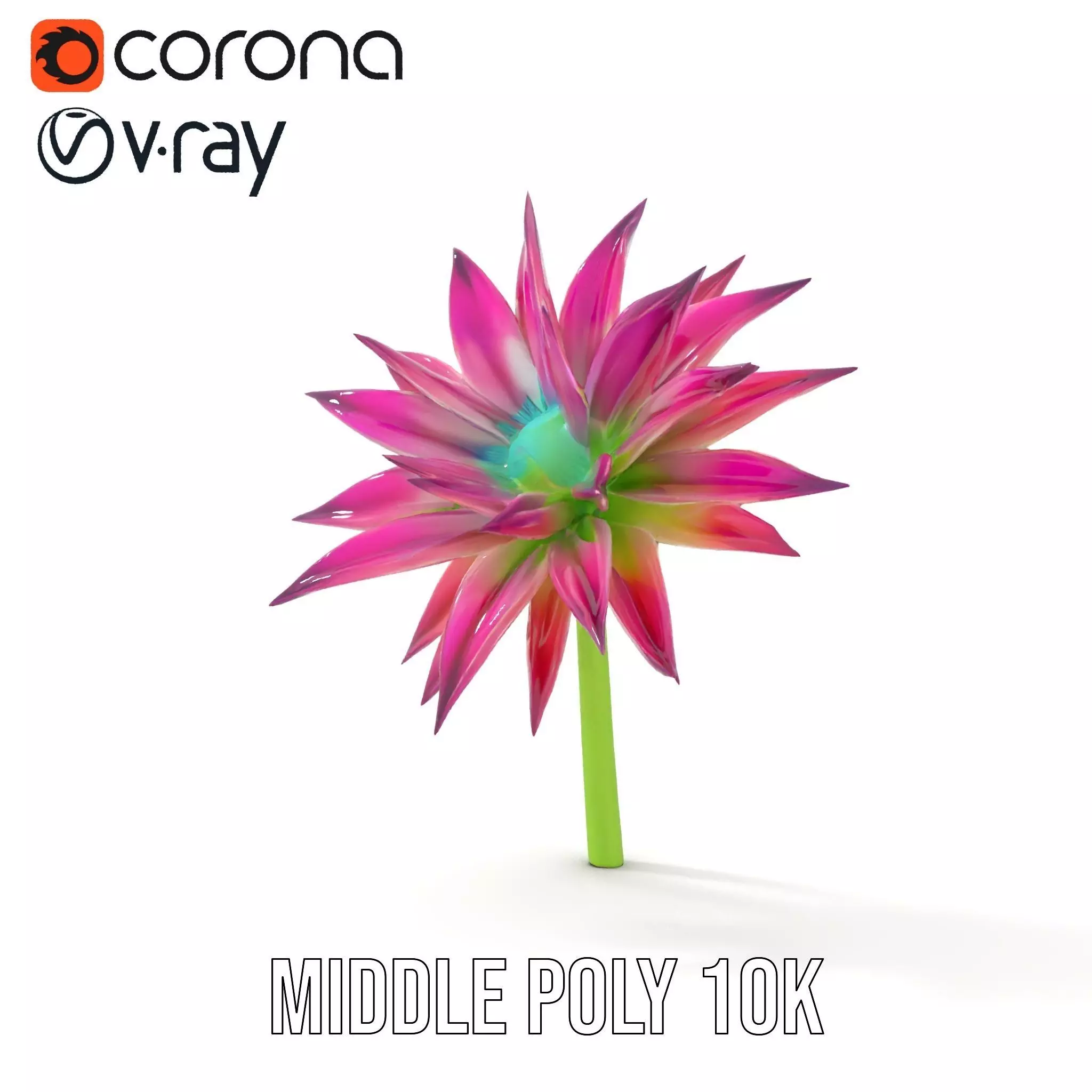 Radiant Bloom Flower model pack Low-poly 3D model_6